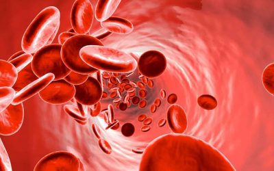 علاج فقر الدم “الأنيميا”إثناء الحمل بطرق طبيعية