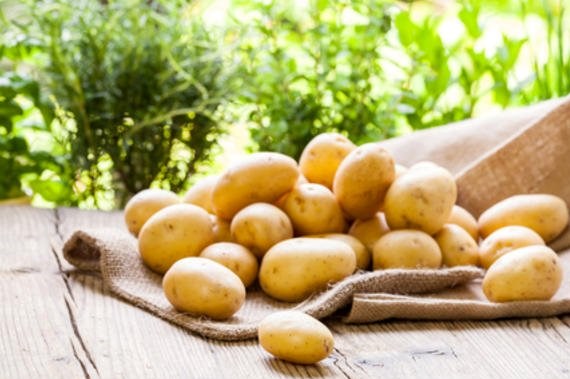 فوائد البطاطا للحامل في الأشهر الاأولى