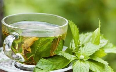 فوائد ومضار الشاي الأخضر للحامل