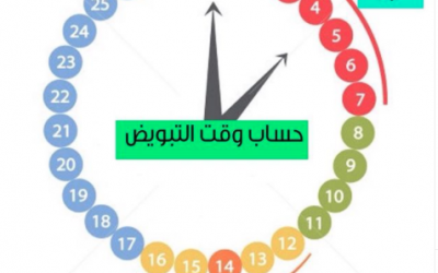 طريقة حساب وقت التبويض وتحديد ايام التبويض