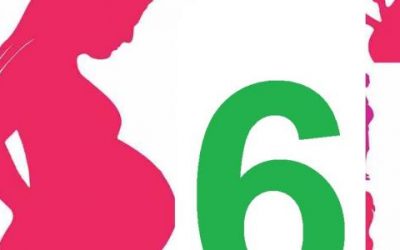 بالفيديو..كيف يكون الطفل في الشهر السادس من الحمل