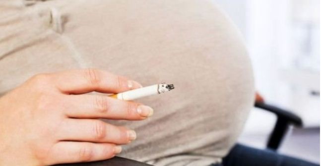 التدخين “يضر بأكباد الأجنة”