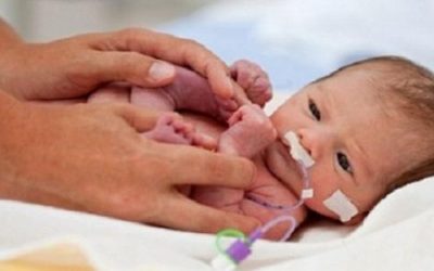 بالفيديو العلاقة بين العلاج بالكورتيزون والولادة المبكرة