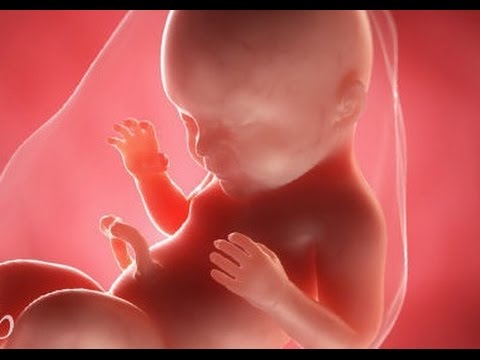 مراحل تكون الجنين من الالف الى الياء مع تلاوة بصوت الشيخ سعود الشريم الحامل الحمل والولادة